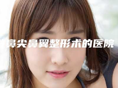 做鼻尖鼻翼整形术的医院推荐:鼻尖鼻翼整形术医院综合实力top30权威汇总
