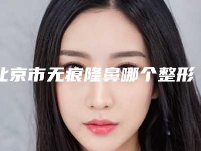 北京市无痕隆鼻哪个整形医院安全(北京普华医疗美容整形诊所入驻榜一)