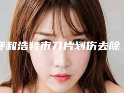 呼和浩特市刀片划伤去除疤痕医生排名榜top10详情-呼和浩特市刀片划伤去除疤痕整形医生