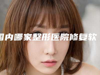 国内哪家整形医院修复软骨隆鼻比较好:修复软骨隆鼻医院前50位哪个实力棒