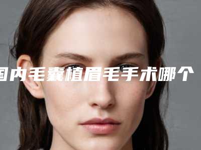 国内毛囊植眉毛手术哪个整形医院比较好:毛囊植眉毛手术医院top50甄选