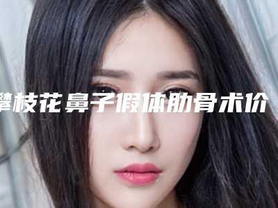 攀枝花鼻子假体肋骨术价格解析