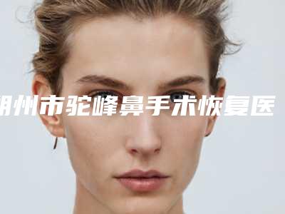 朔州市驼峰鼻手术恢复医生排名榜前十名深入了解-朔州市驼峰鼻手术恢复医生