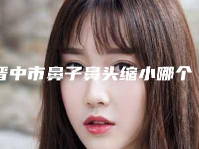 晋中市鼻子鼻头缩小哪个医生最好(魏黎医生评价怎么样)