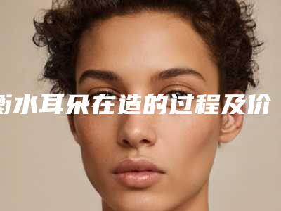 衡水耳朵在造的过程及价格(衡水耳朵在造价格大约是多少)