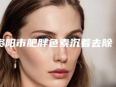 资阳市肥胖色素沉着去除医生上榜清单前十名名单流出-张树功医生医生技术点评